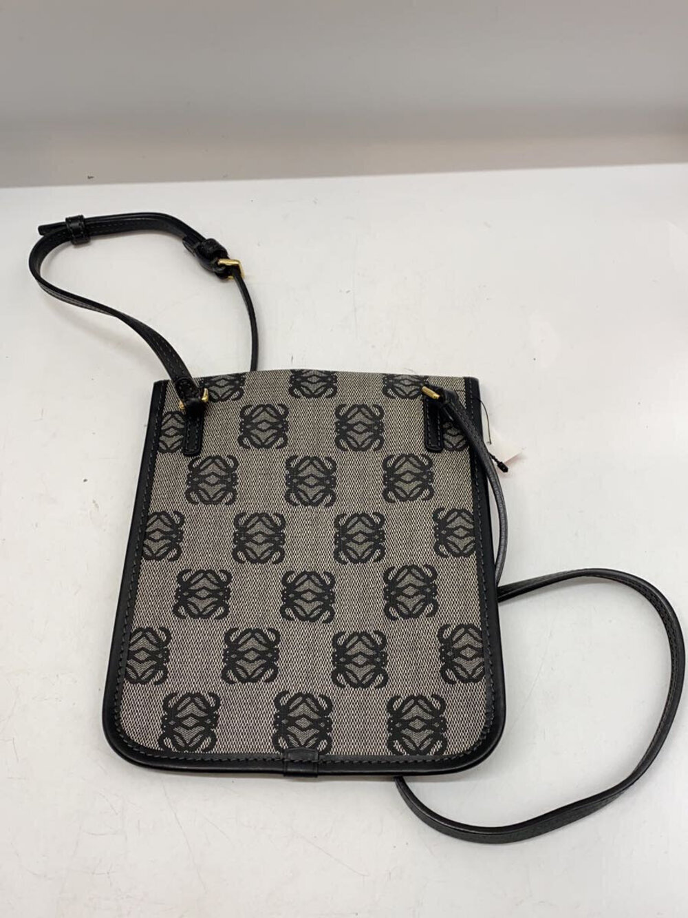 Loewe All Anagram Gray Shoulder Bag over Gray